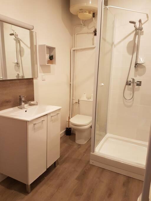 Agreable Lumineux Au Centre-ville Apartment
