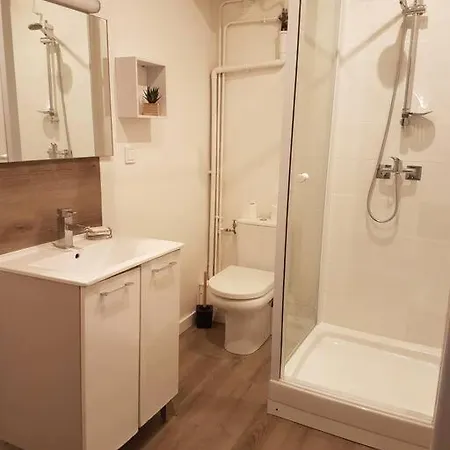 Agreable Appartement Lumineux Au Centre-Ville Oyonnax Exterior foto